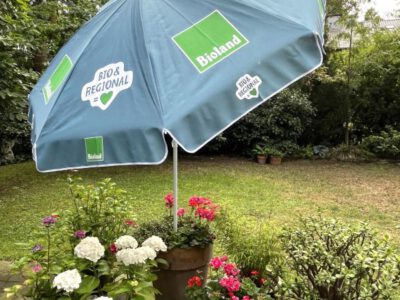 Sonnenschirm grün