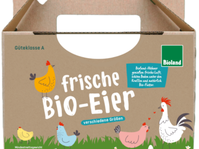 1kg Eierbox